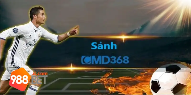 CMD368 988Bet: Trải Nghiệm Cá Cược Trực Tuyến Chất Lượng 1 Tổng quan về nhà cung cấp CMD368 988Bet